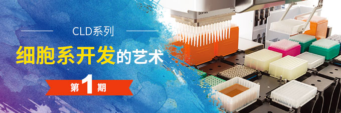 細(xì)胞系開發(fā)的藝術(shù)