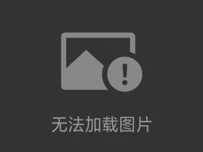 電極夾NARISHIGE 成茂